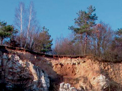 GeoTop 8 „Lösswand“ nahe der Rosenmühle bei Bachra
